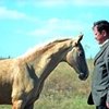 Климук Александр Степанович : «Настоящий коннозаводчик должен иметь истинную любовь к лошади и огромное терпение»