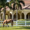 Конноспортивный центр Florida Equestrian Compound выставлен на продажу за 45 млн $.