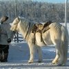 В Якутии празднуют День коневода-табунщика
