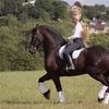 Российская спортсменка дисквалифицирована за жестокое обращение с лошадью