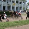 ОБРАЩЕНИЕ Организационного комитета «Национального союза рысистого коневодства»