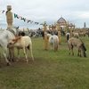 В Якутии в рамках праздника Ысыах Туймаады пройдут скачки на приз Главы Республики Саха