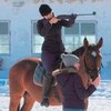 В Ярославле откроется школа конного биатлона