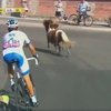 Российский велогонщик перехитрил пони.