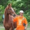 В результате несчастного случая скончался председатель Федерации конного спорта Липецкой области Сергей Козлов