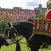 Al Shira’aa Stables будет спонсировать Королевское Виндзорское конное шоу