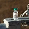 Вакцина против мыта может появиться на рынке в ближайшие пару лет