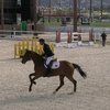 Лошадь Владимира Туганова попала в призы на турнире CSI3* в Шардже