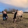 Голландские звезды выездки спасают голодающих в заповеднике животных