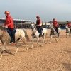 Испанская федерация конного спорта не согласна с решением FEI об отмене чемпионата по пробегам