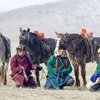 В Монголии пройдет зимний фестиваль лошадей