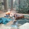 Лошадь спаслась от пожара в бассейне