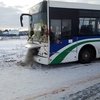 Табун лошадей попал под автобус в Башкирии