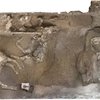 В Помпеях раскопали останки еще двух лошадей