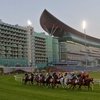 Российская лошадь пришла третьей в Дубае