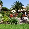 Horse Country Resort Congress & Spa приглашает на Сардинию! Вас ждут теплая погода, солнце, море и... лошади!