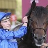 На скачках в Дубае погибла лошадь