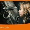 Международная конная выставка Эквитана. Эссен, Германия