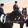 В Maxima Stables прошел международный турнир по выездке CDI-3*/2* J/Y/Ch