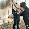 Турецкая поп-дива заботится о больной лошади