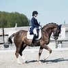 Александра Максакова: "Мои лошади очень мне помогли"