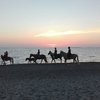 Отправляйтесь в конное путешествие вместе с Horse Country Resort Congress & Spa!