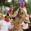 "Винная лошадь" ускакала в толпу на празднике в Испании