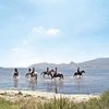 Море и лошади в Horse Country Resort на Сардинии