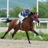 Лошади Валентина Бухтоярова продолжают побеждать на Краснодарском ипподроме