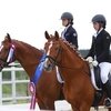 Maxima Stables приглашает на Чемпионат Московской области по конкуру