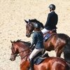 Чемпионат Московской области по конкуру в Maxima Stables: итоги первого дня