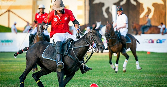 Кубок мира по конному поло выиграл Азербайджан