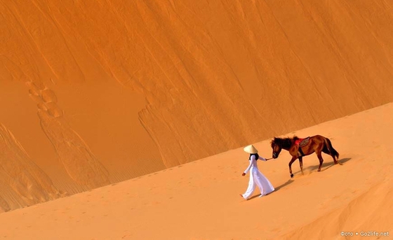 Продать песок в арабские страны? Запросто!