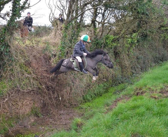 Ирландские дети рано приобщаются к конной охоте 