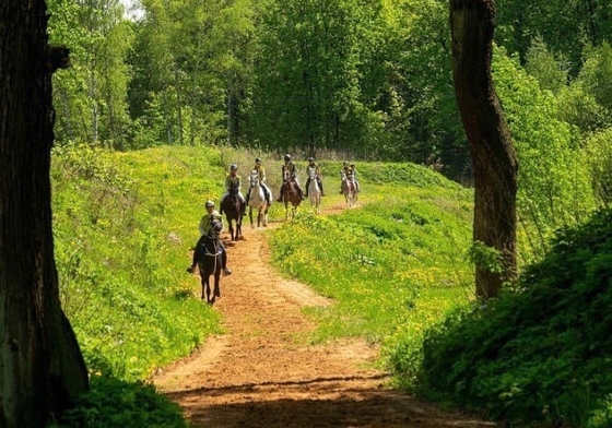 В КСК «Отрада» стартовал сезон конных пробегов