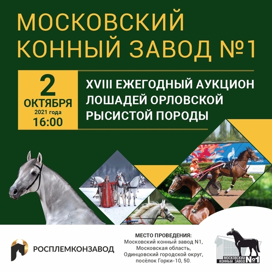 Ежегодный аукцион лошадей орловской рысистой породы пройдёт на Московском конном заводе №1