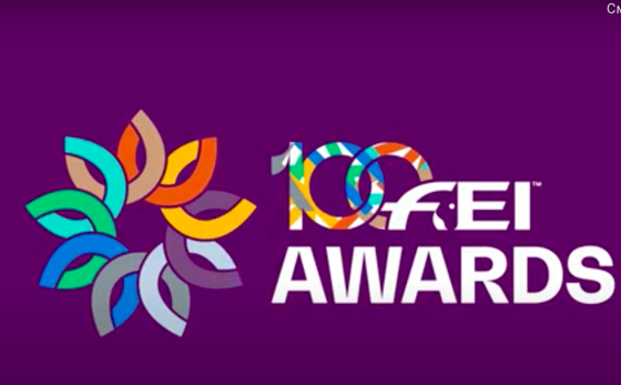 Открыто голосование за претендентов на премию FEI Awards 2021 