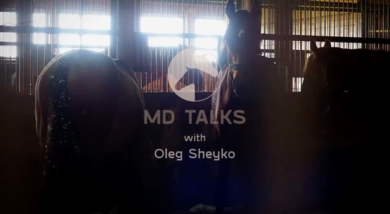 MD Talks с Олегом Шейко 