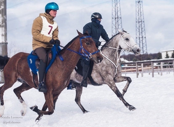 Зимние пробеги в КСК «Отрада»