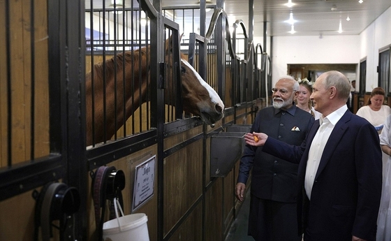 Владимир Путин посетил конюшню