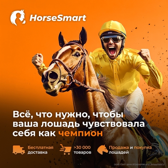 Добро пожаловать в мир HorseSmart