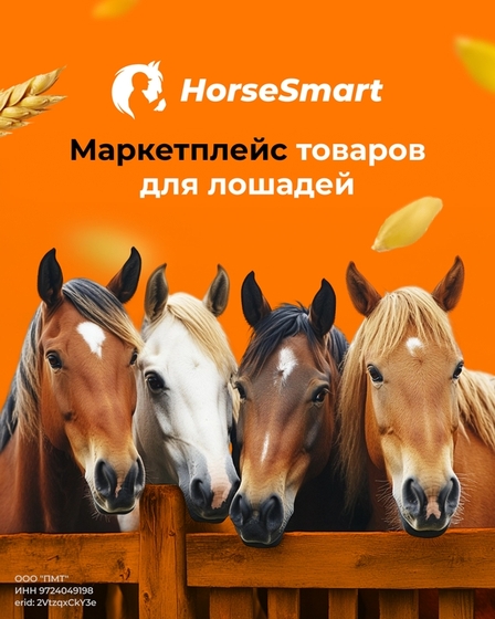 HorseSmart — единственный маркетплейс конных товаров в России