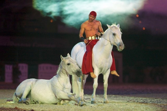 Fest der Pferde: гармония спорта и красоты