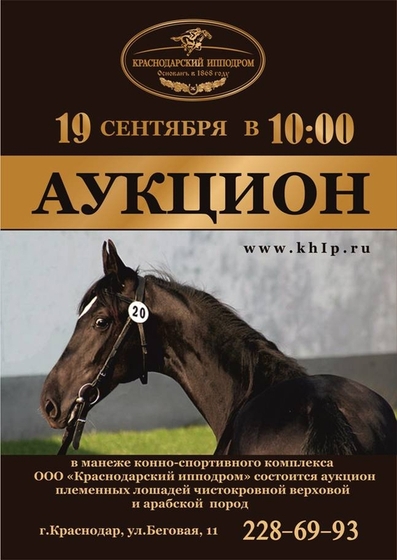 Аукцион чистокровной верховой и арабской пород лошадей
