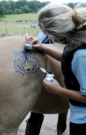 Татуировки для вашей... лошади!