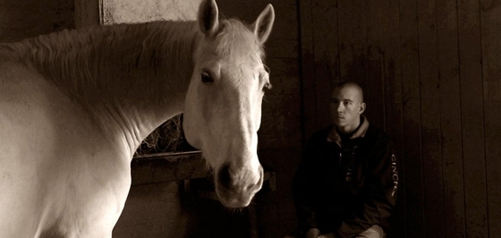 Фестиваль фильмов о лошадях прошел в США