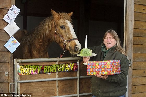Лошадь из Великобритании отпраздновала свой 49-й день рождения