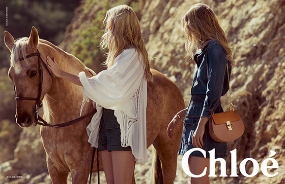 Chloé и лошади