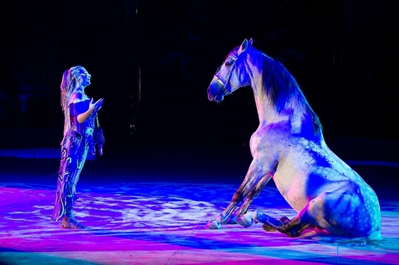 Лошади и другие животные покинут цирк?