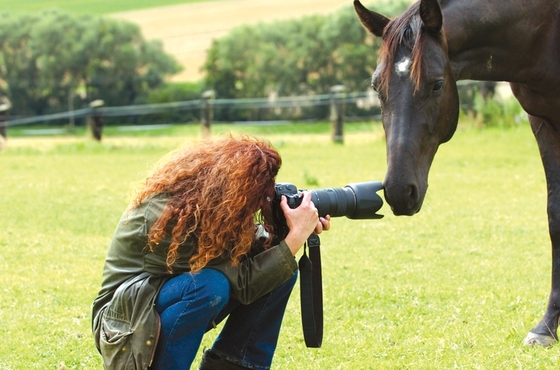 Как фотографировать лошадь. Часть II. Ракурсы